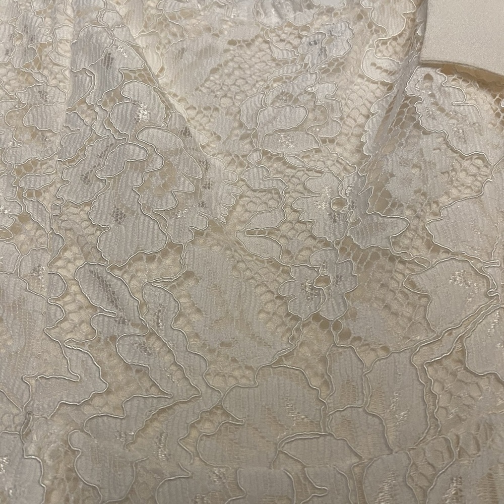 Reformation Lace Wedding Dress in Cream - Picture 7 of 12